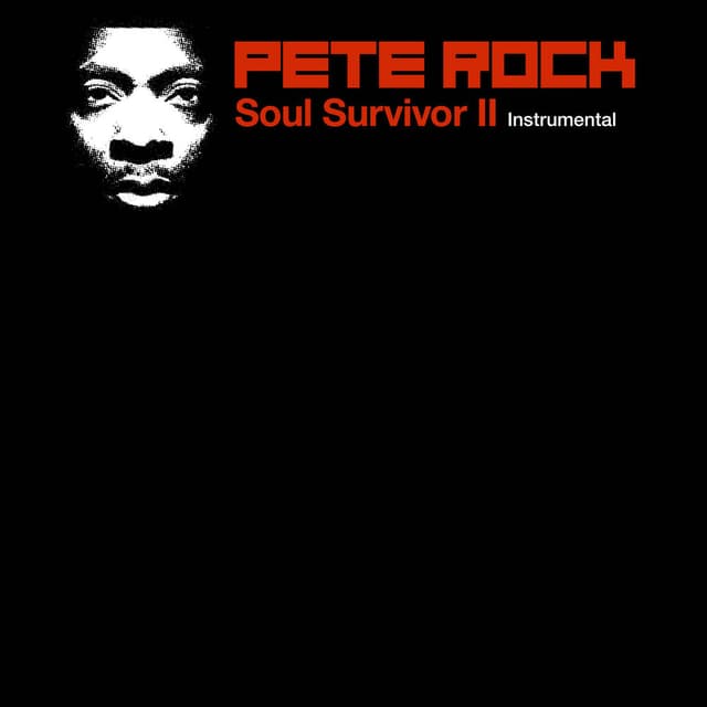 Soul Survivor II - Instrumental cover