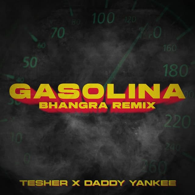 Gasolina (Bhangra Remix) cover