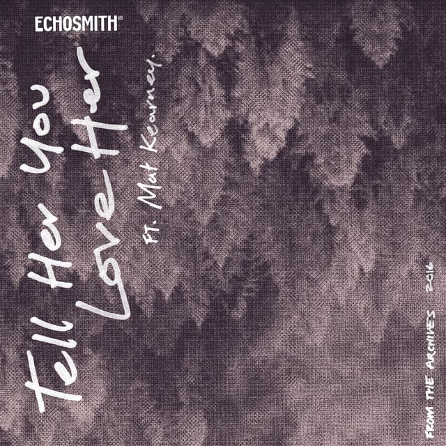 Tell Her You Love Her (feat. Mat Kearney) cover
