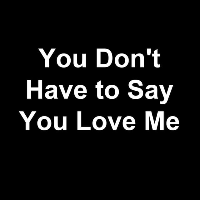 You Don't Have to Say You Love Me cover