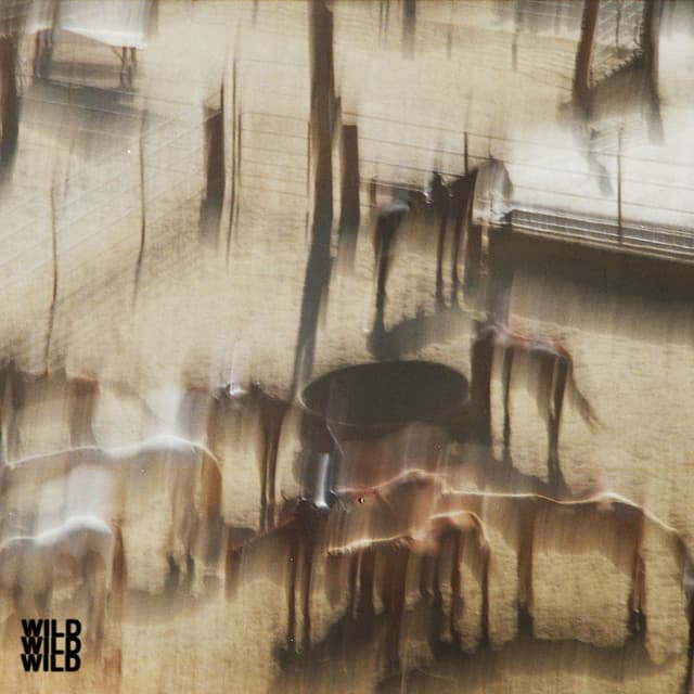 WILD cover