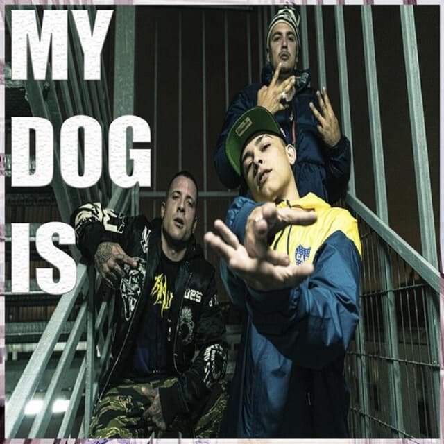 My Dog Is cover