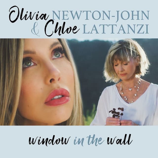 Window In The Wall cover
