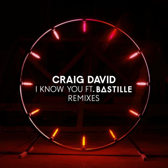 I Know You (Remixes) (feat. Bastille) cover