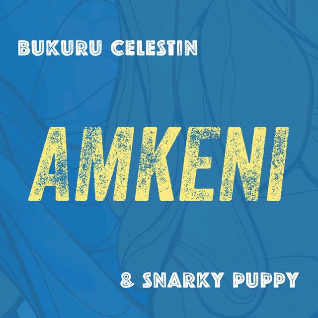 Amkeni cover