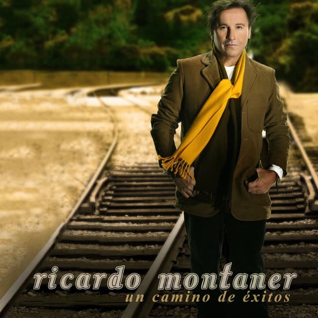 Un Camino De Exitos cover