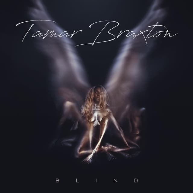Blind cover