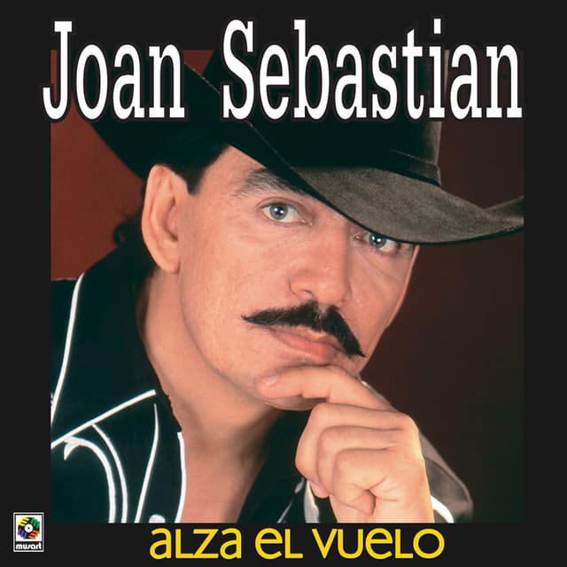 Alza el vuelo cover