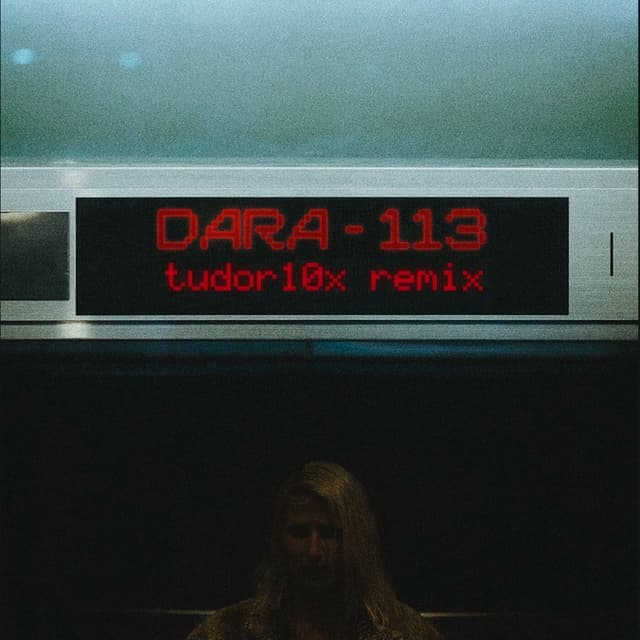 113 (Remix) cover