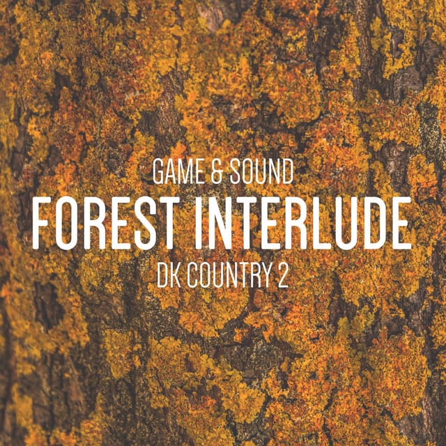 Forest Interlude (from "Donkey Kong Country 2") cover