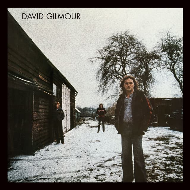 David Gilmour cover