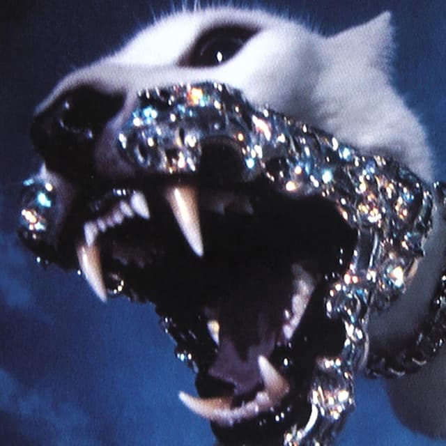FANG cover