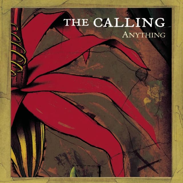 Anything cover