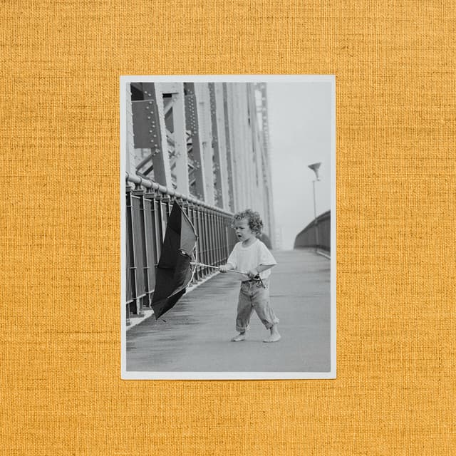 Wallflower album cover
