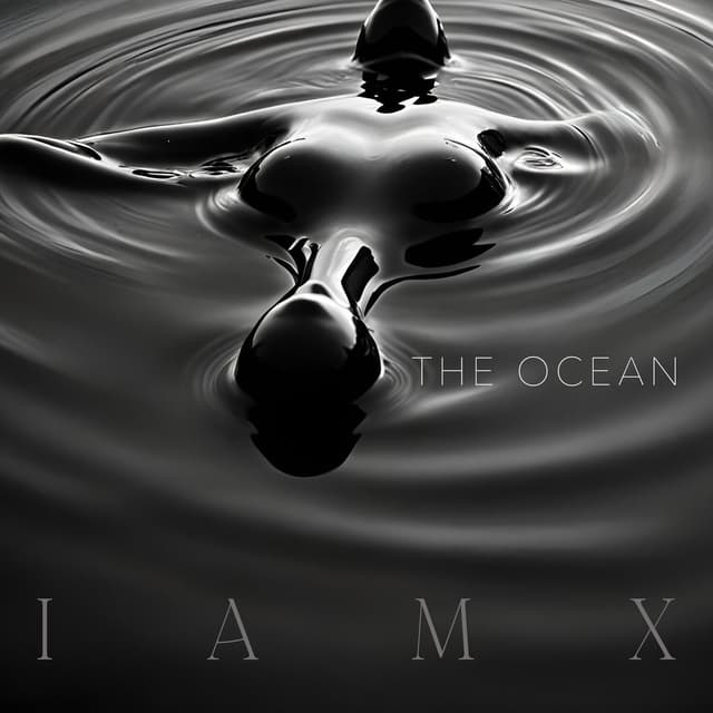 The Ocean cover