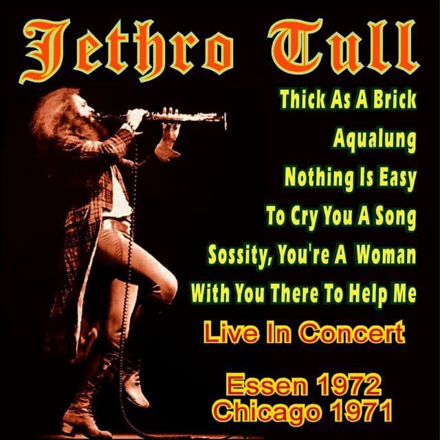 Jethro Tull - Live in Concert cover