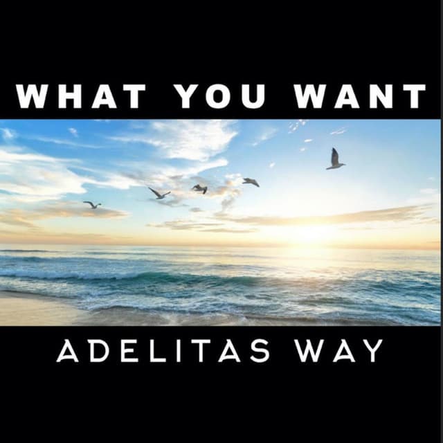What You Want cover