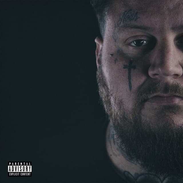 A Beautiful Disaster cover
