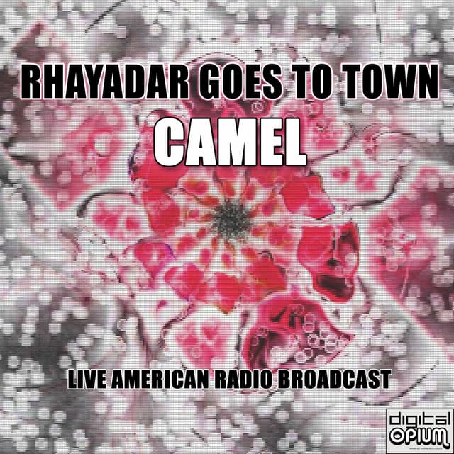 Rhayadar Goes To Town (Live) cover