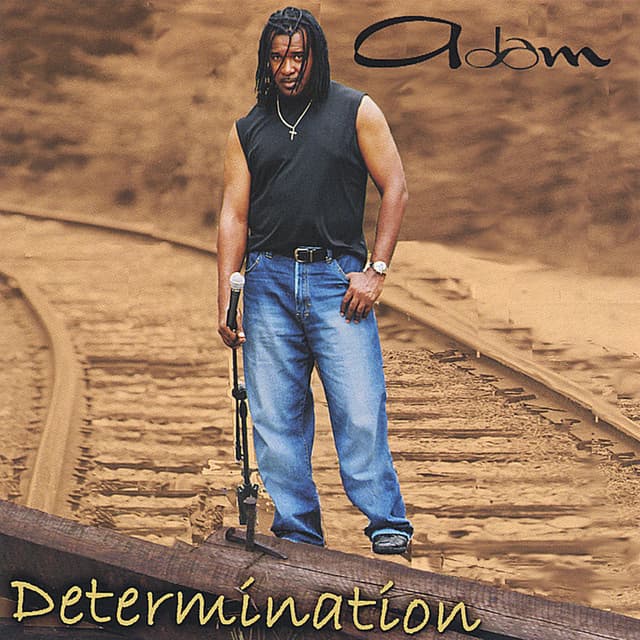 Determination cover