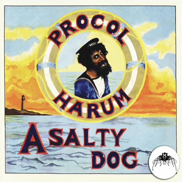 A Salty Dog (2009 Remaster) cover