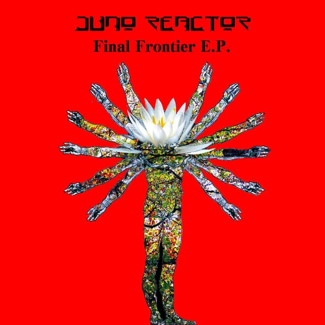 Final Frontier cover
