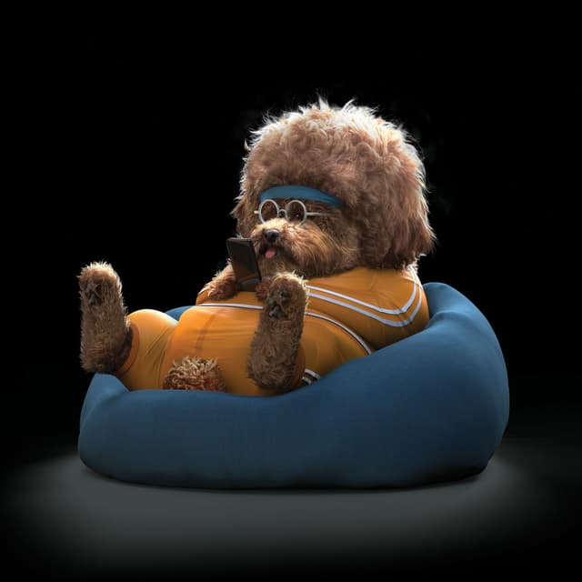 Koko cover