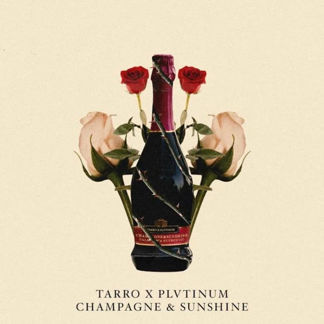 Champagne & Sunshine cover