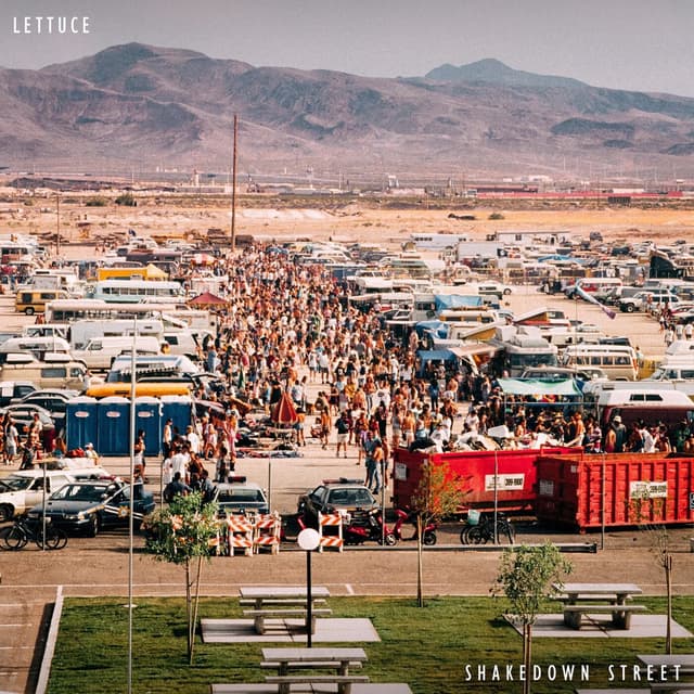 Shakedown Street cover
