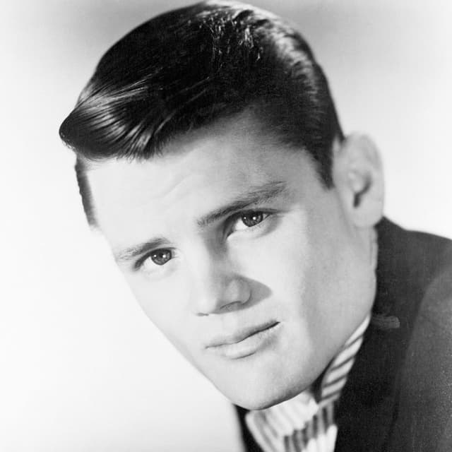 Chet Baker Love Songs album cover