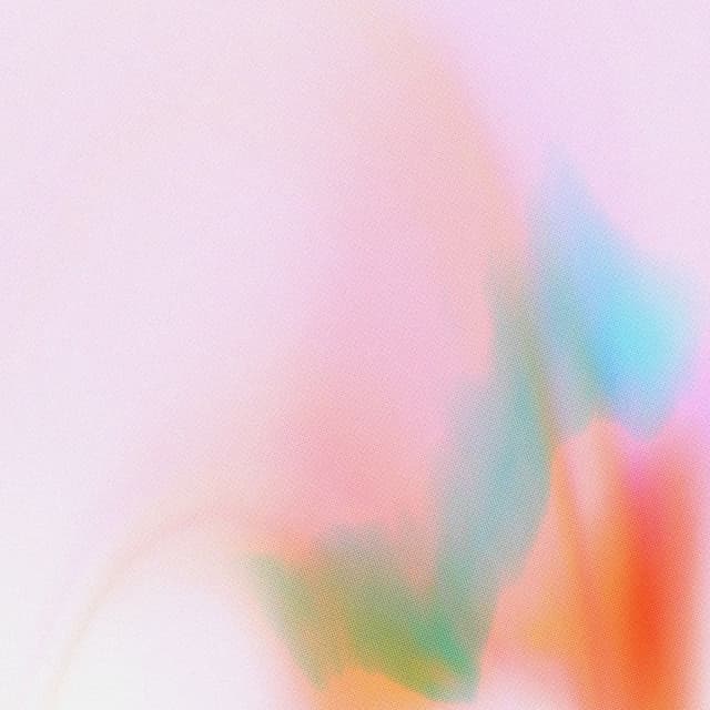 Lungs cover
