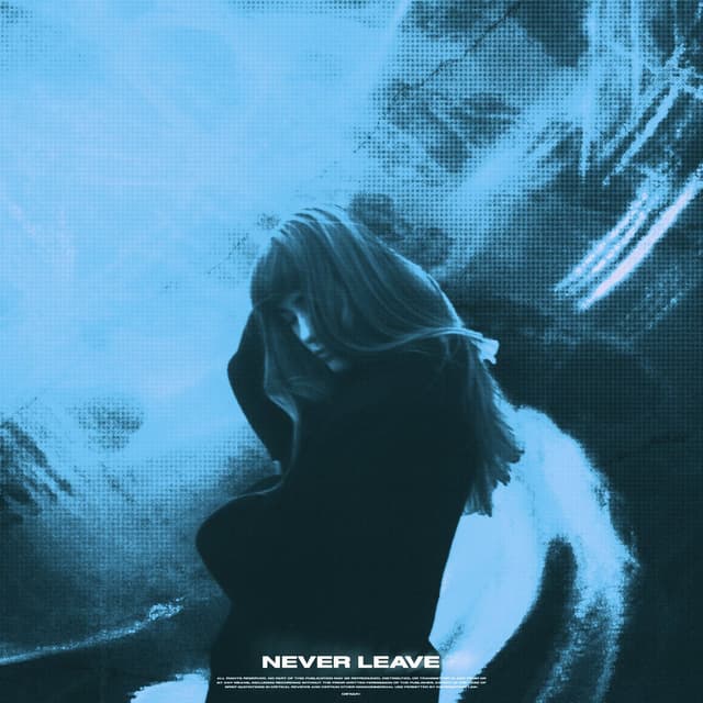 Never Leave cover
