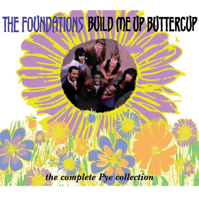 Build Me Up Buttercup - The Complete Pye Collection cover
