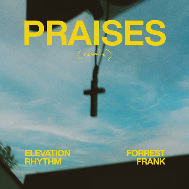 PRAISES (remix) album cover