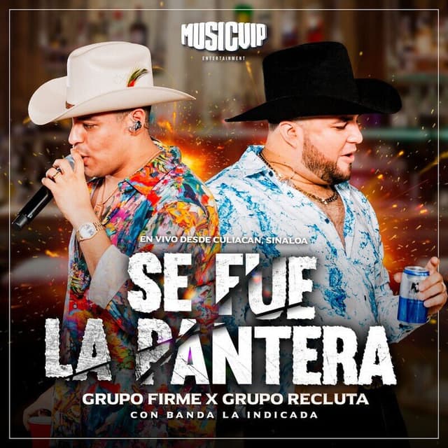 Se Fue La Pantera (En Vivo) cover