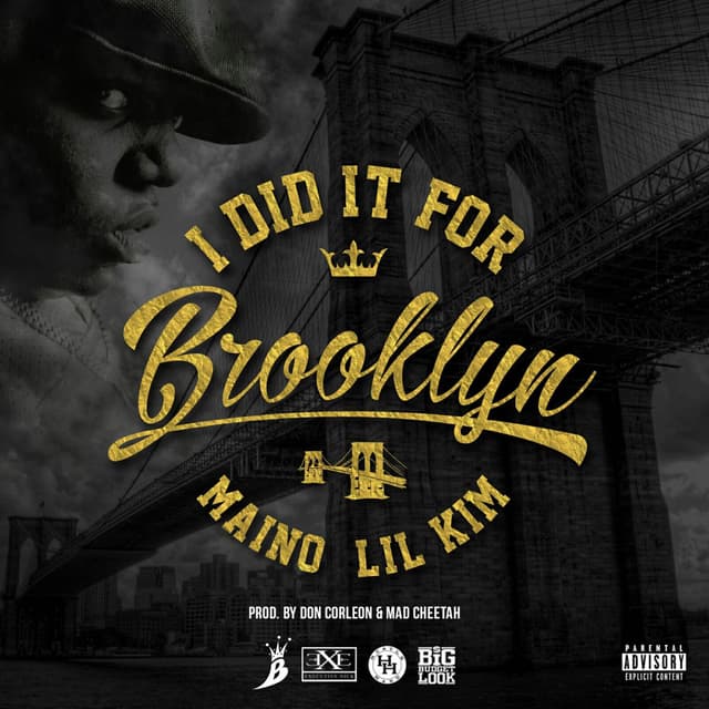 I Did It For Brooklyn (feat. Lil Kim) - Single cover