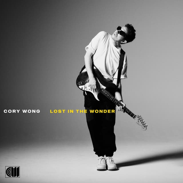 Lost In The Wonder cover
