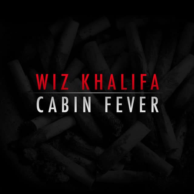 Cabin Fever album cover