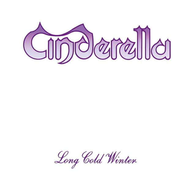 Long Cold Winter album cover