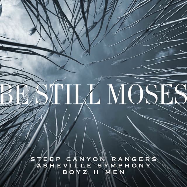 Be Still Moses album cover
