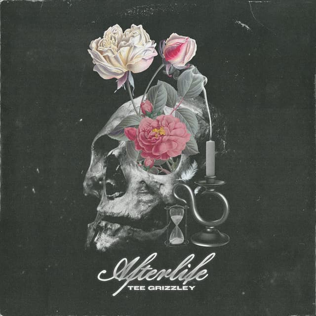 Afterlife cover