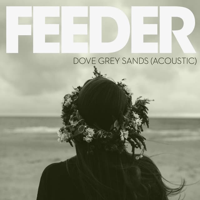 Dove Grey Sands (Acoustic Version) cover