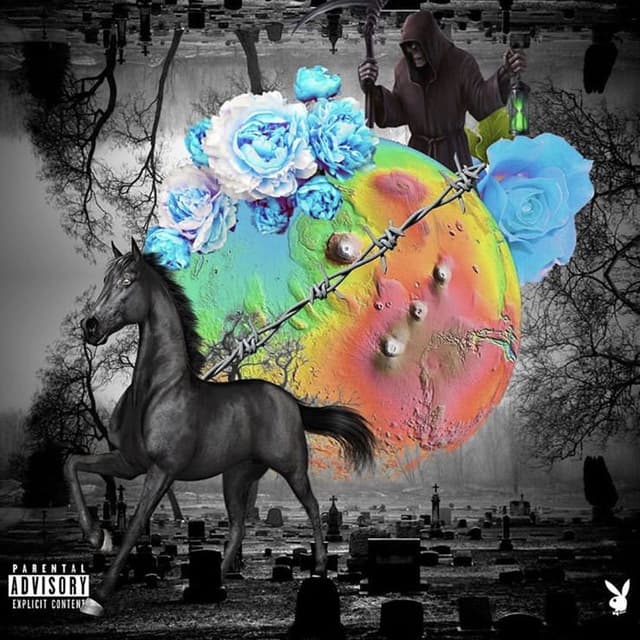 Darkhorse album cover