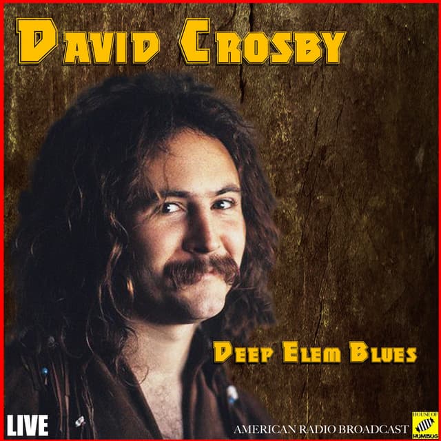 Deep Elem Blues (Live) cover