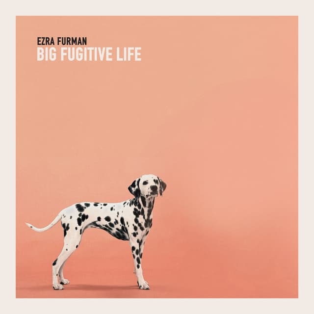 Big Fugitive Life cover
