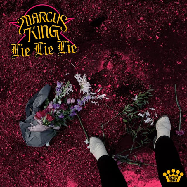 Lie Lie Lie cover