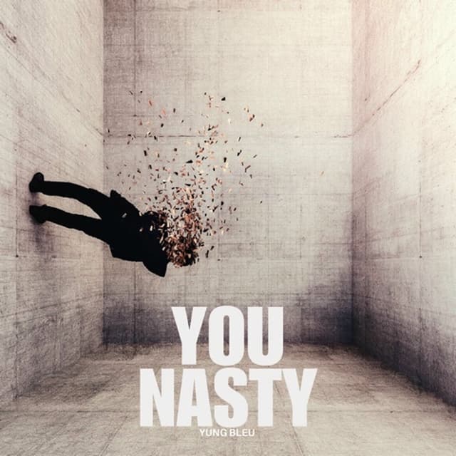 You Nasty cover