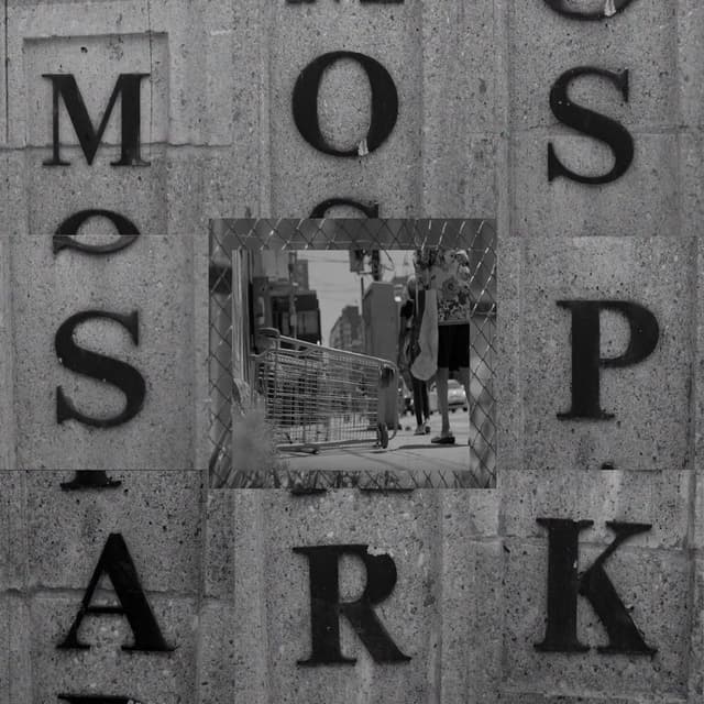 Moss Park cover