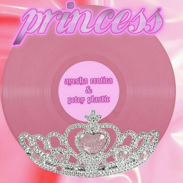 Princess cover