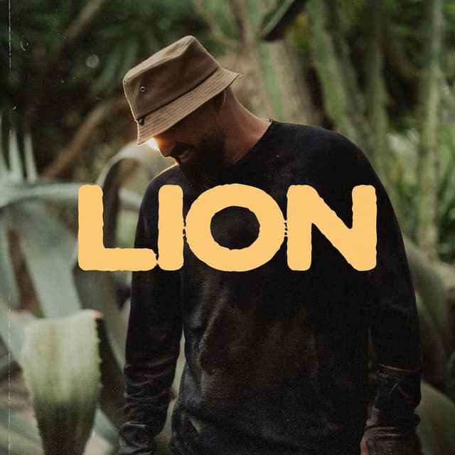 Lion cover